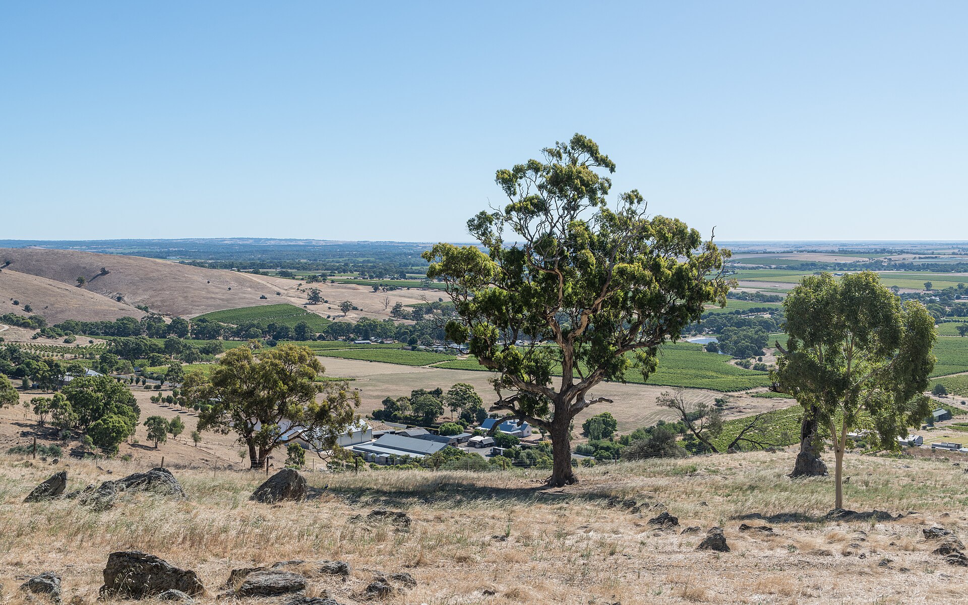Mengler Hill
