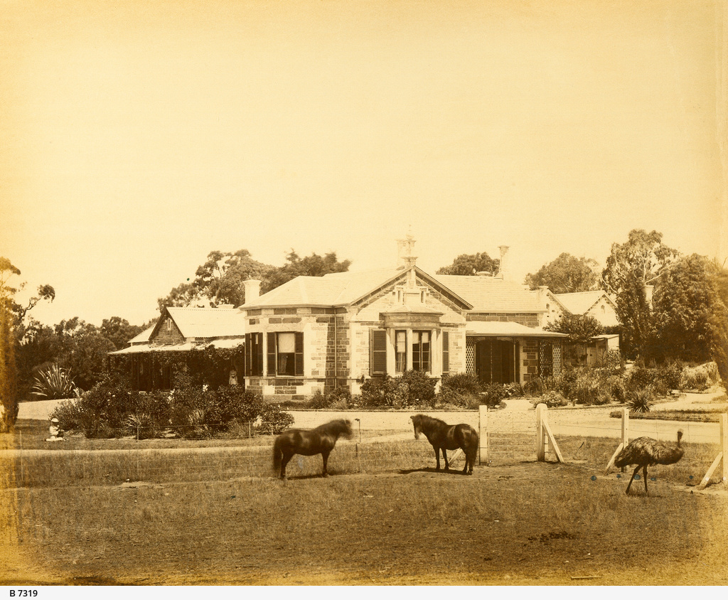Collingrove Homestead