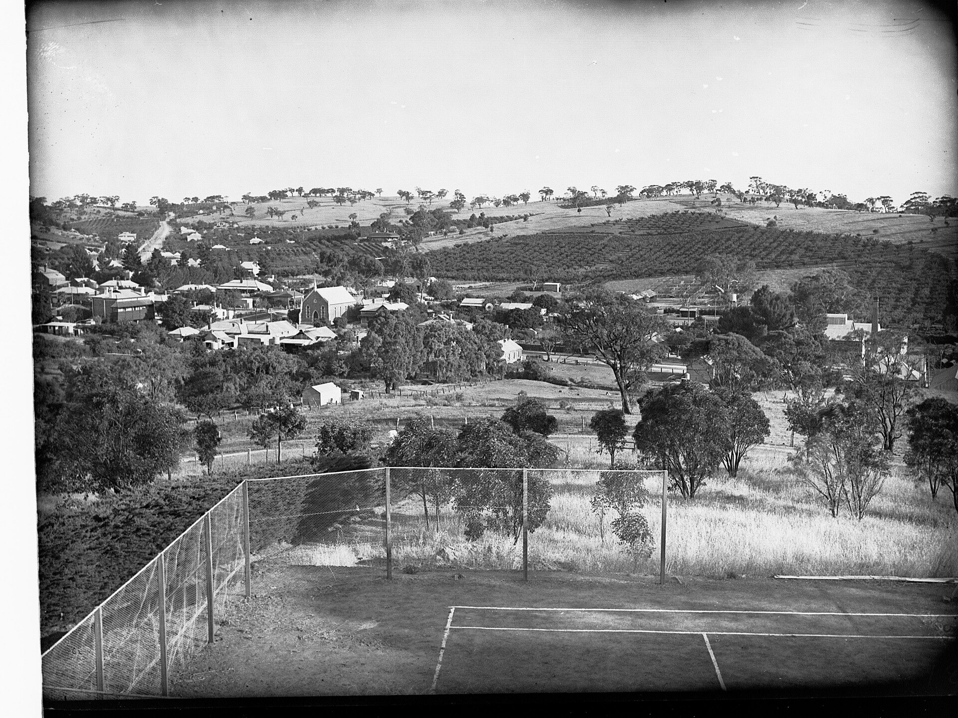 Lambert Estate Wines