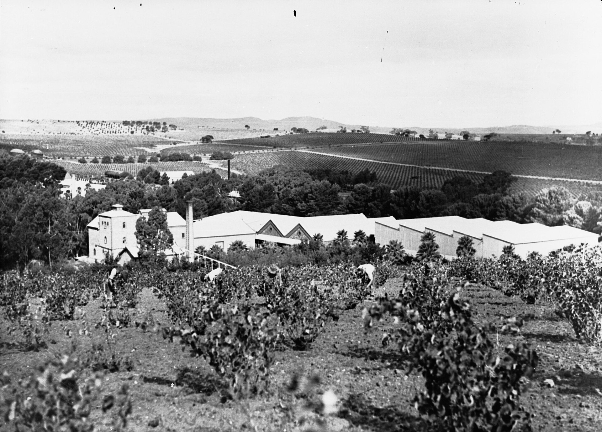 Keil Road Lookout