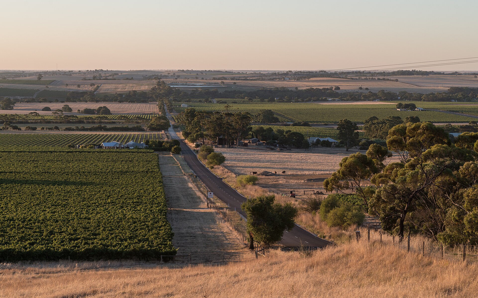 Kabminye Wines