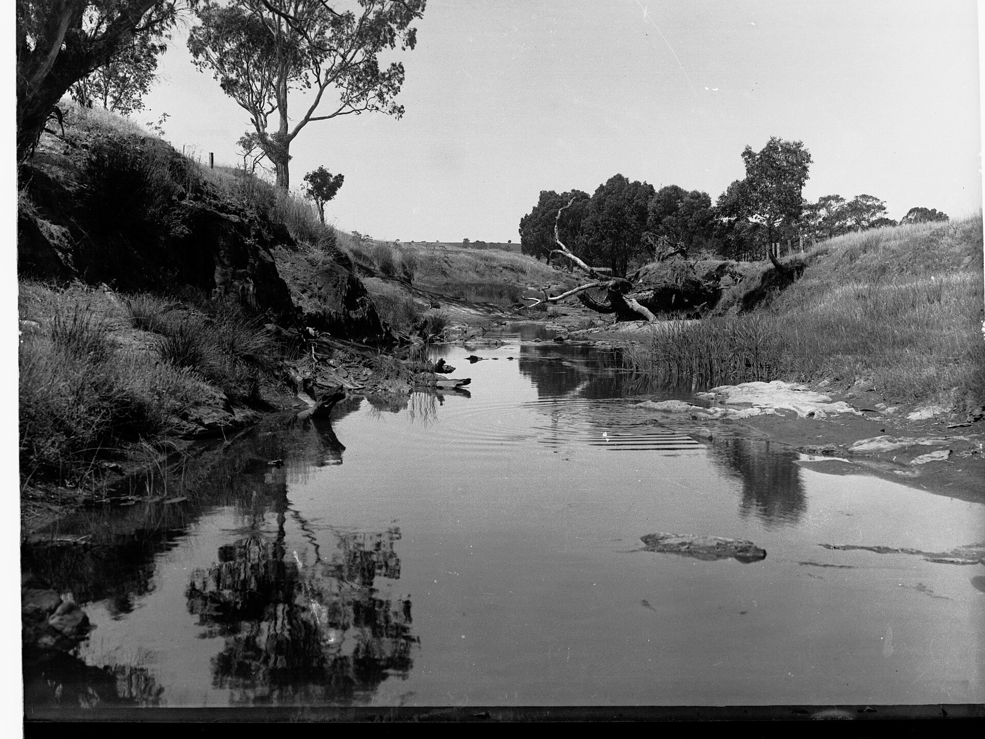 Nuriootpa Linear Park