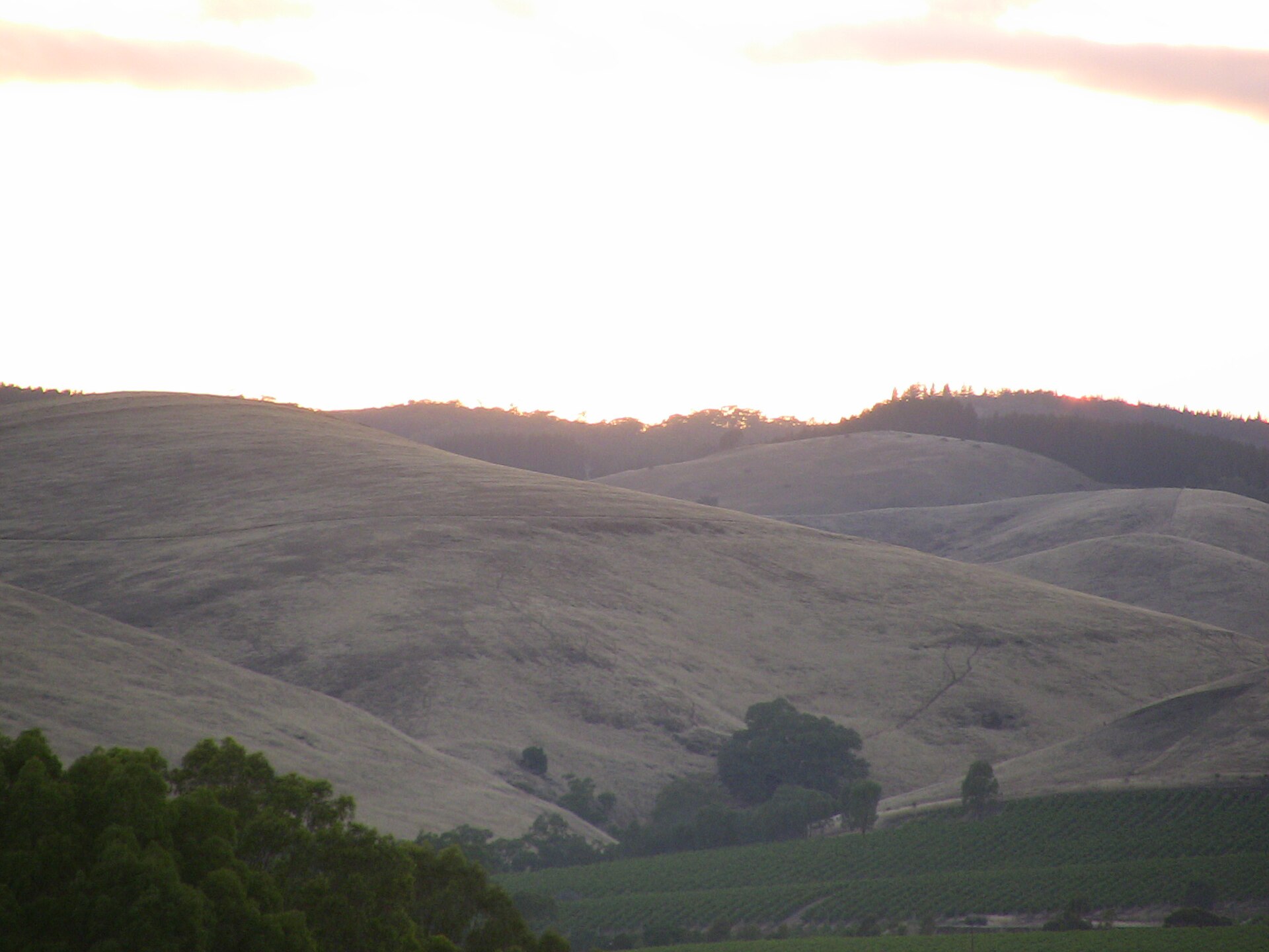 Lou Miranda Estate