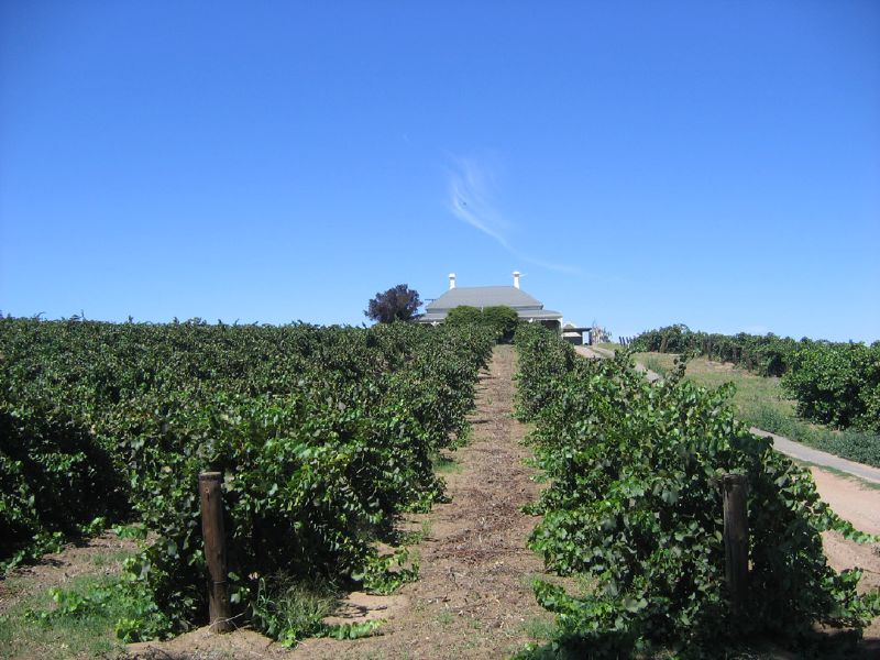 Murray Street Vineyards