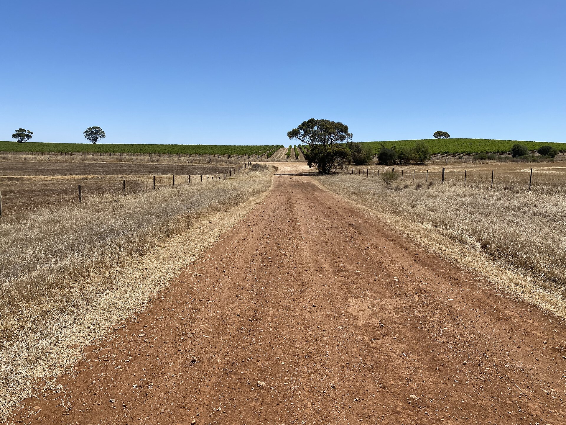 Gomersal Wines
