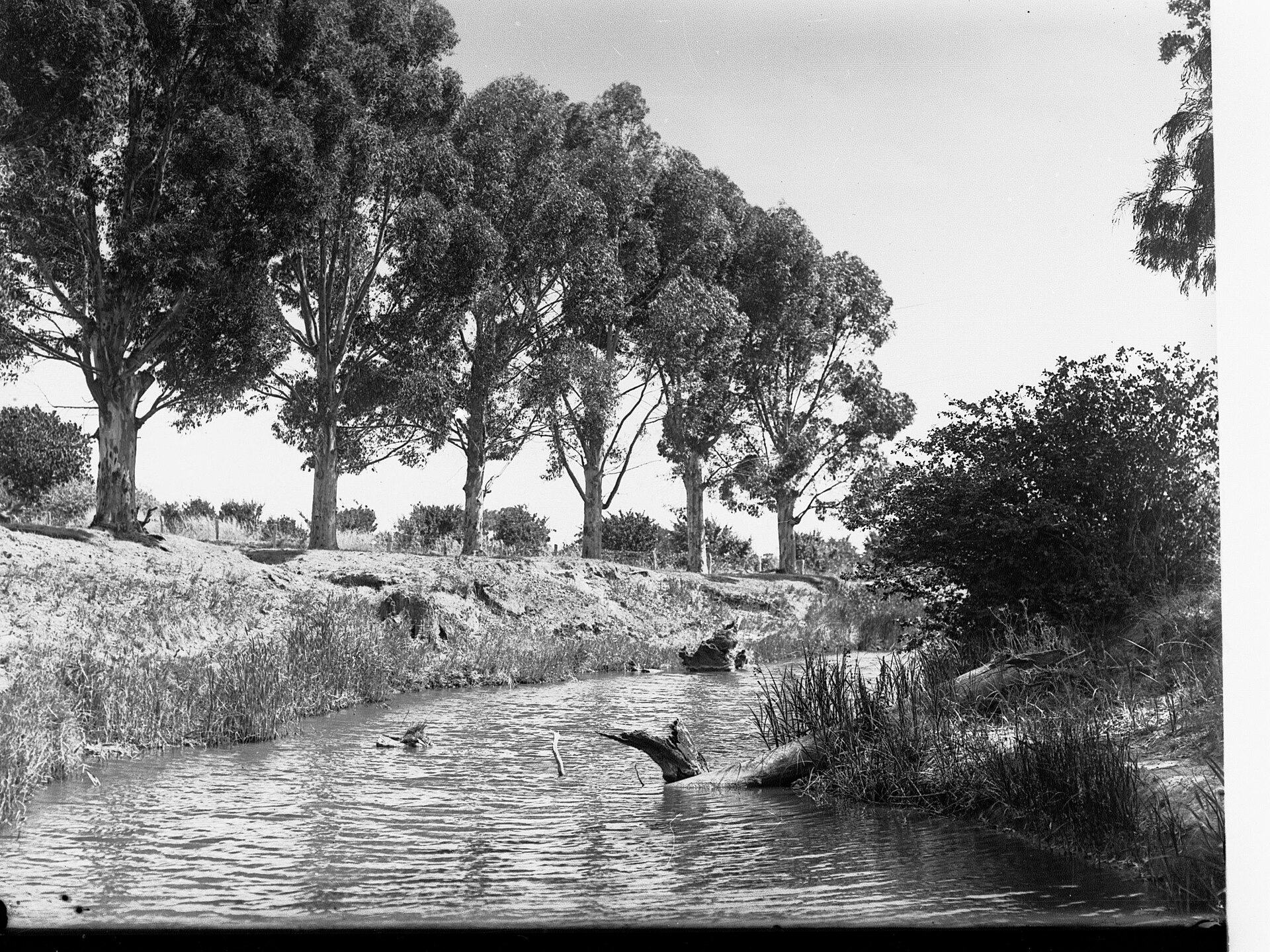 Tanunda Soldiers Memorial Gardens