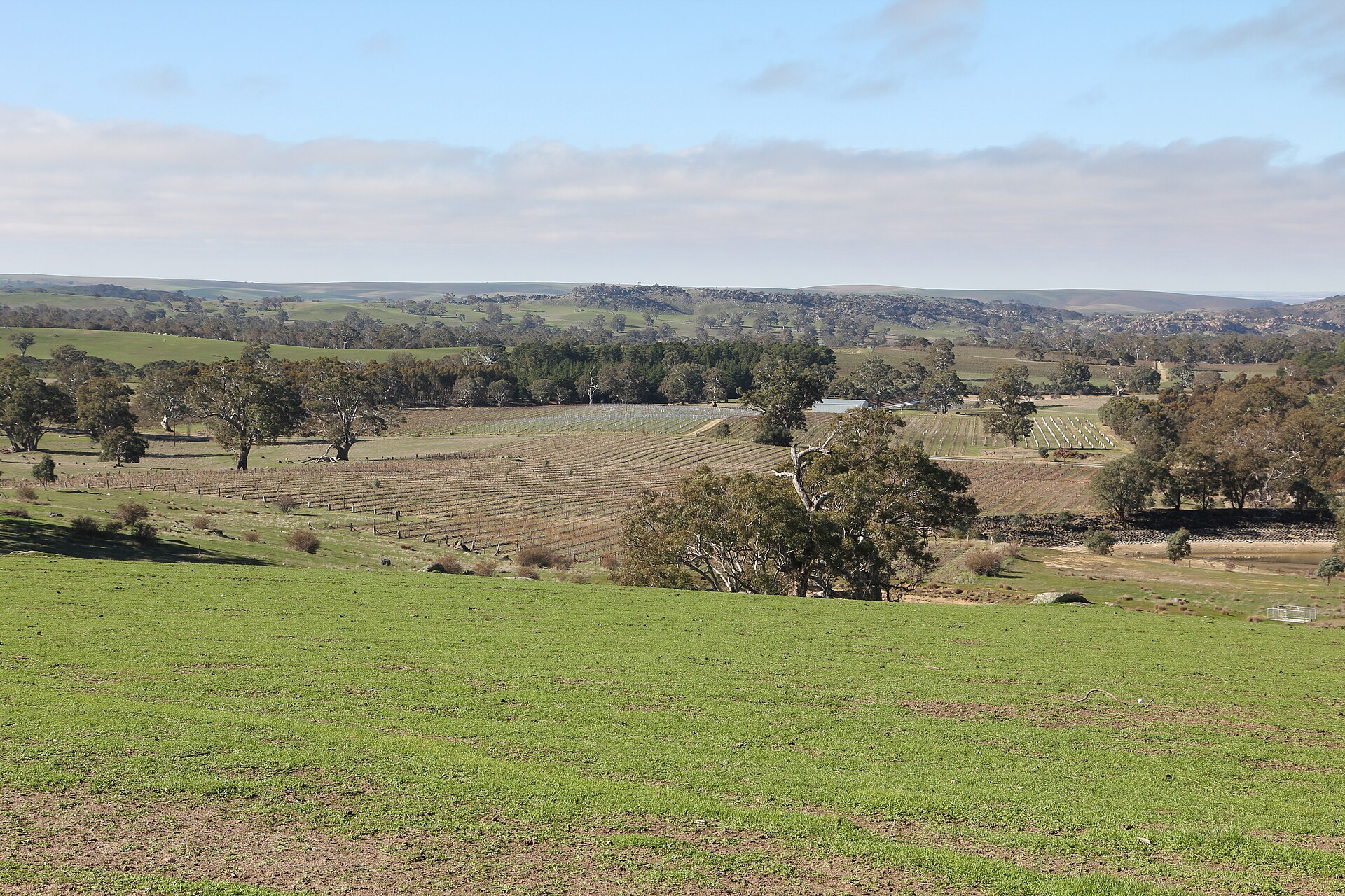 Glen Eldon Wines