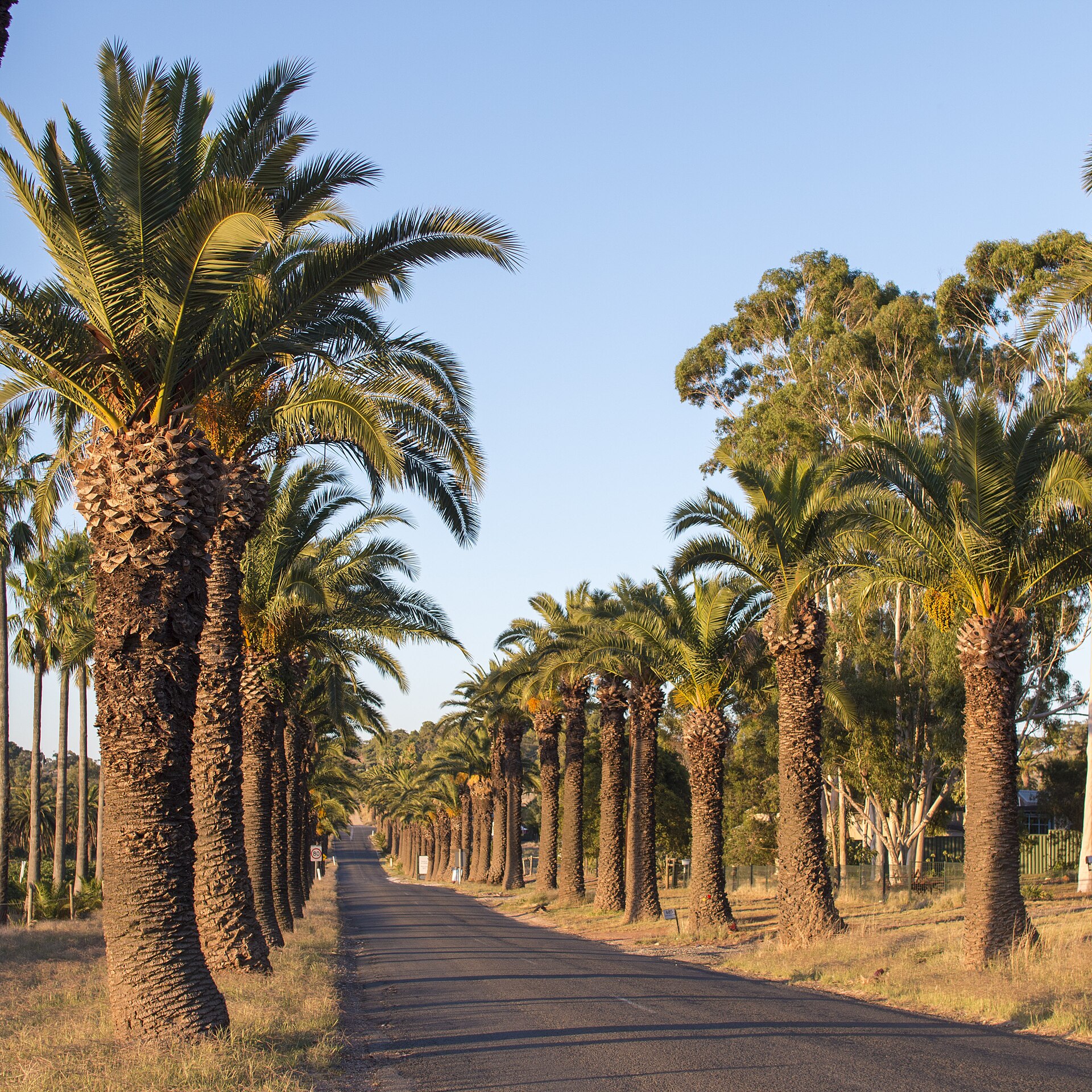 Barossa Valley Way
