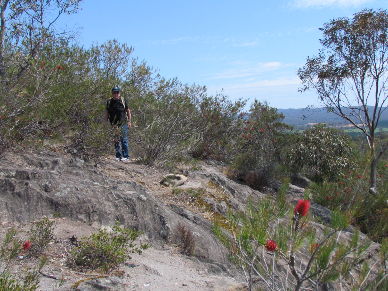 Hale Conservation Park