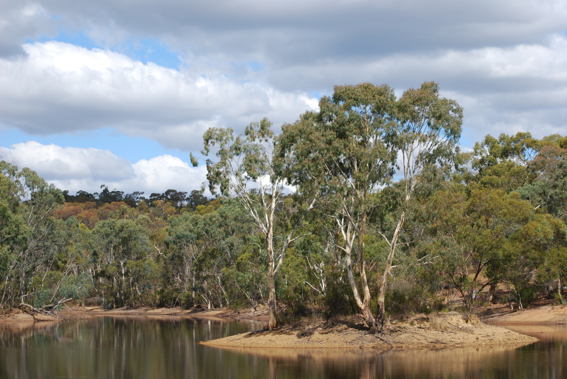The Gold Rush the Barossa Forgot