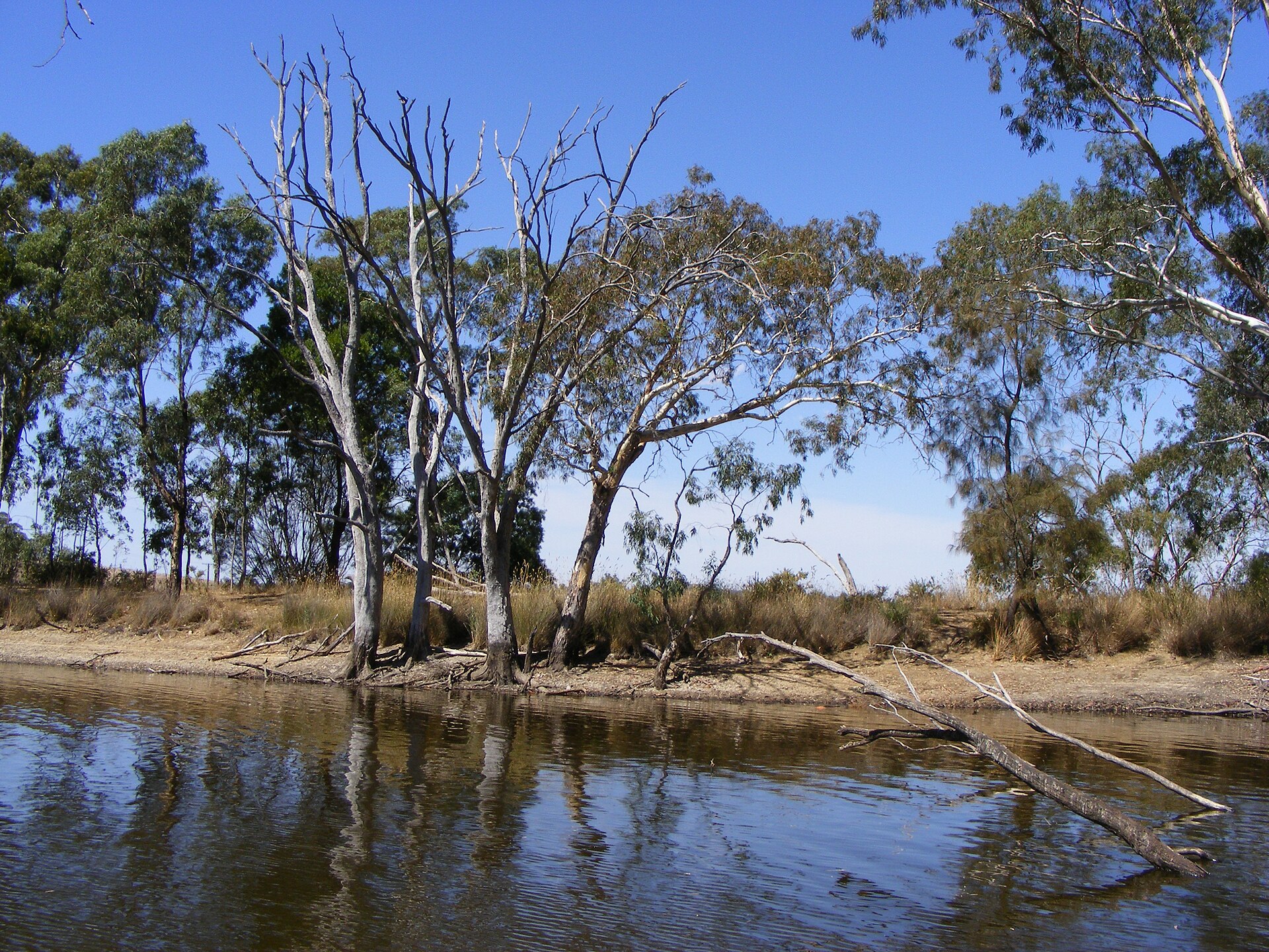 Mount Pleasant: The Barossa's Southern Gate